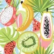 Tricoline Estampada Frutas de Verão 100% Algodão 1,50m Largura - Variante 1