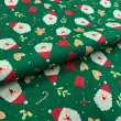 Tricoline Estampada Natal Rostinho Noel Fundo Verde 100% Algodão 1,50m Largura - Variante 1